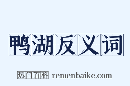 鸭湖反义词是什么意思的图片